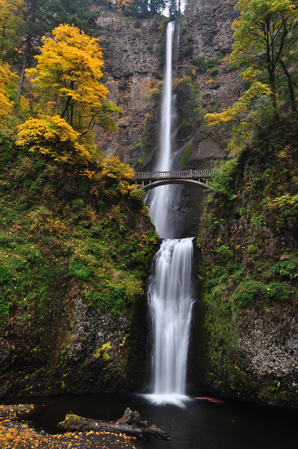 Multnomah Falls, Autumn Study