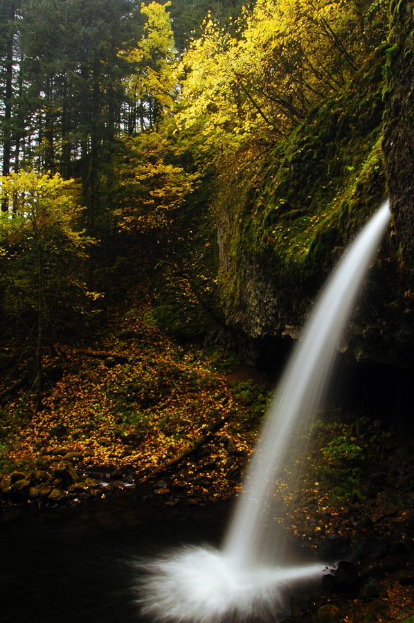 Ponytail Falls Autumn Study 2