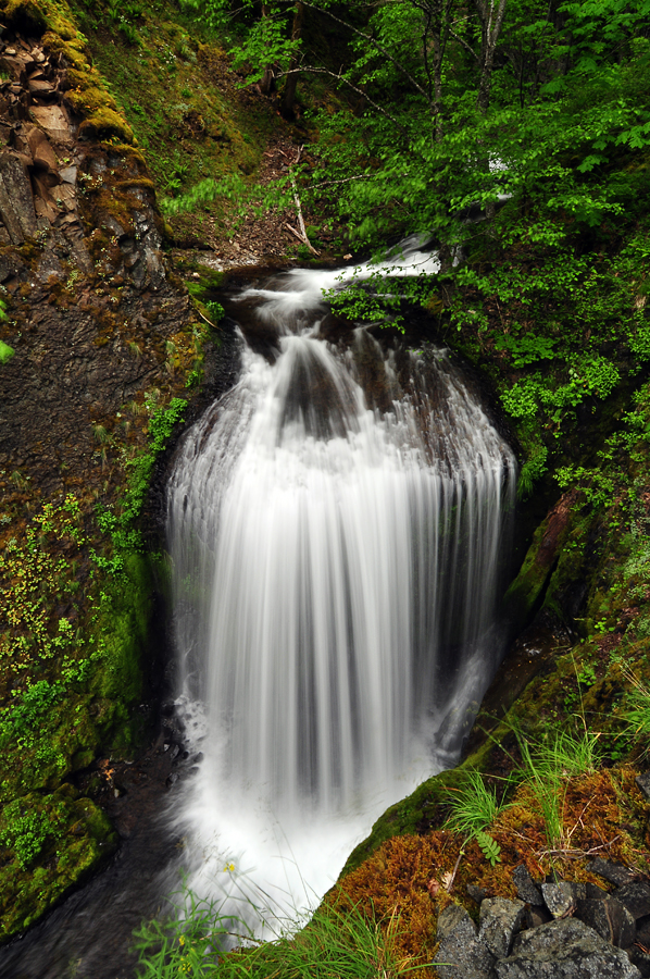 Upper Dog Creek Falls, Study 1