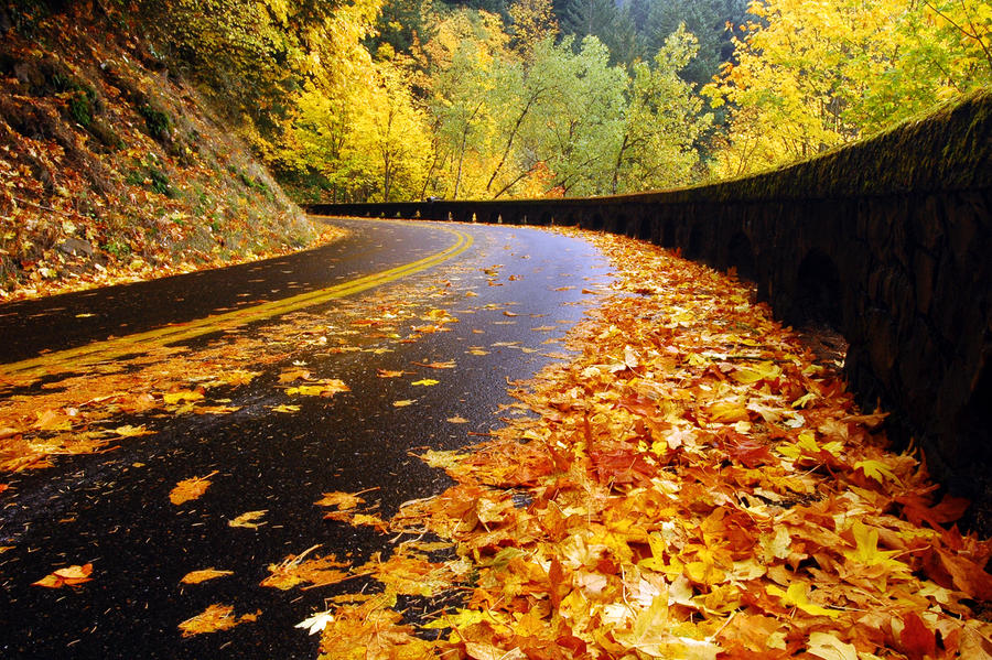 Historic Highway Autumn Study by greglief