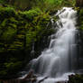 White Branch Falls