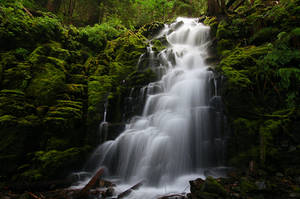 White Branch Falls