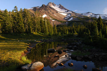 Jefferson Park, Tarn Study