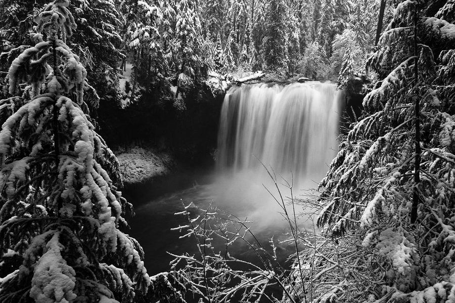 Koosah Falls, Winter Study