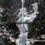 Multnomah Falls, Vertical Winter Study