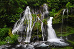 Panther Creek Falls from below by greglief