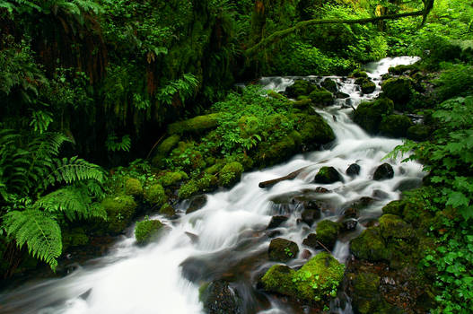 Wahkeena Creek