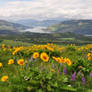 Looking West from McCall Point