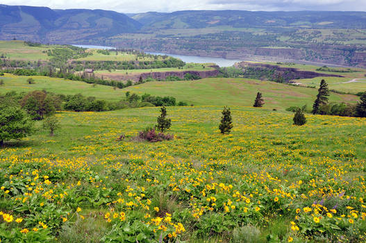 Looking down from McCall Point Trail