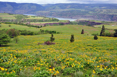 Looking down from McCall Point Trail
