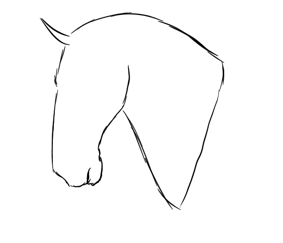 Basic Horse Head Lines