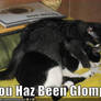 Lolcat: Glomp