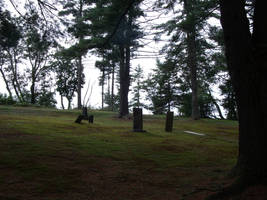 Moss Covered Graves