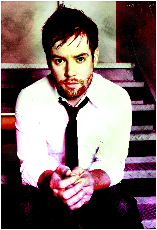 david cook