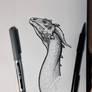 Dragon sketch
