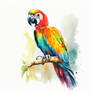 Parrot C
