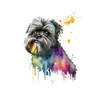 Affenpinscher