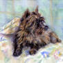 Cairn Terrier In Watercolors