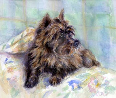 Cairn Terrier In Watercolors