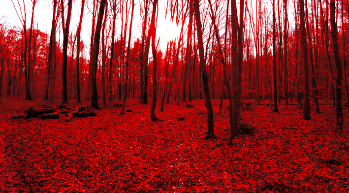 Blood Forest