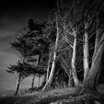 Stories In The Wind II by Pixydream