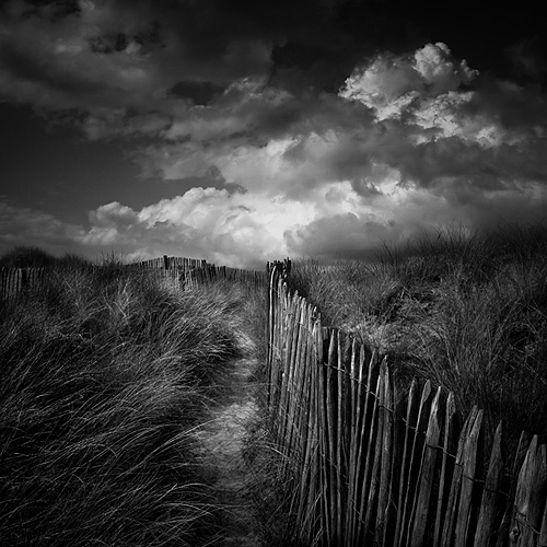 Across The Dunes