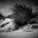 Au Clair de la Dune by Pixydream