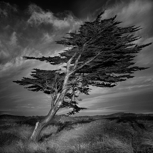 Wind And Wuthering II