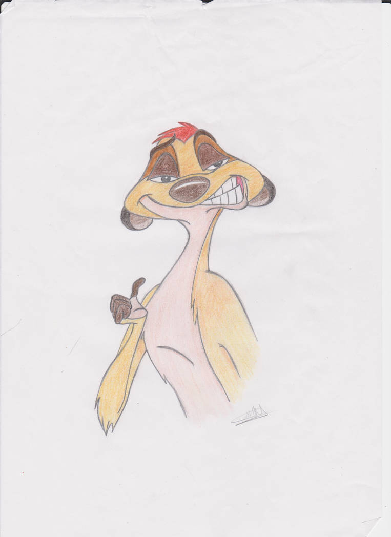 Timon :3 by Crazy-Skull on DeviantArt