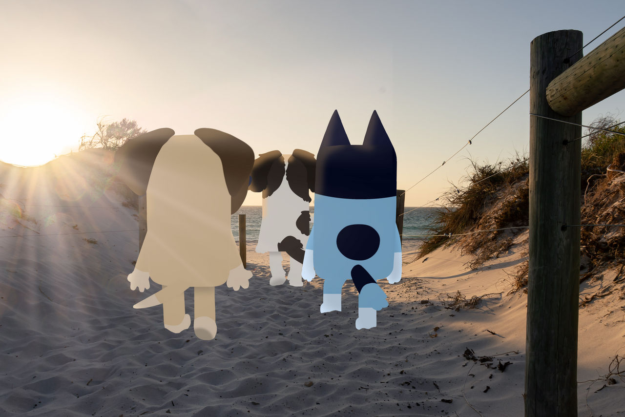 A picture of my two OCs, Mate Cur and Monday Shihtzu, walking to the beach with Bandit Heeler.