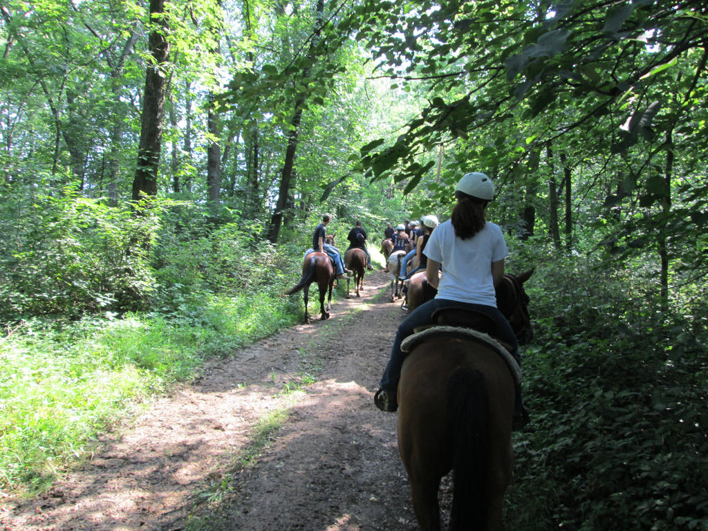9 Day Trail Ride Day 3 Trail Ride by Scratch1998 on DeviantArt