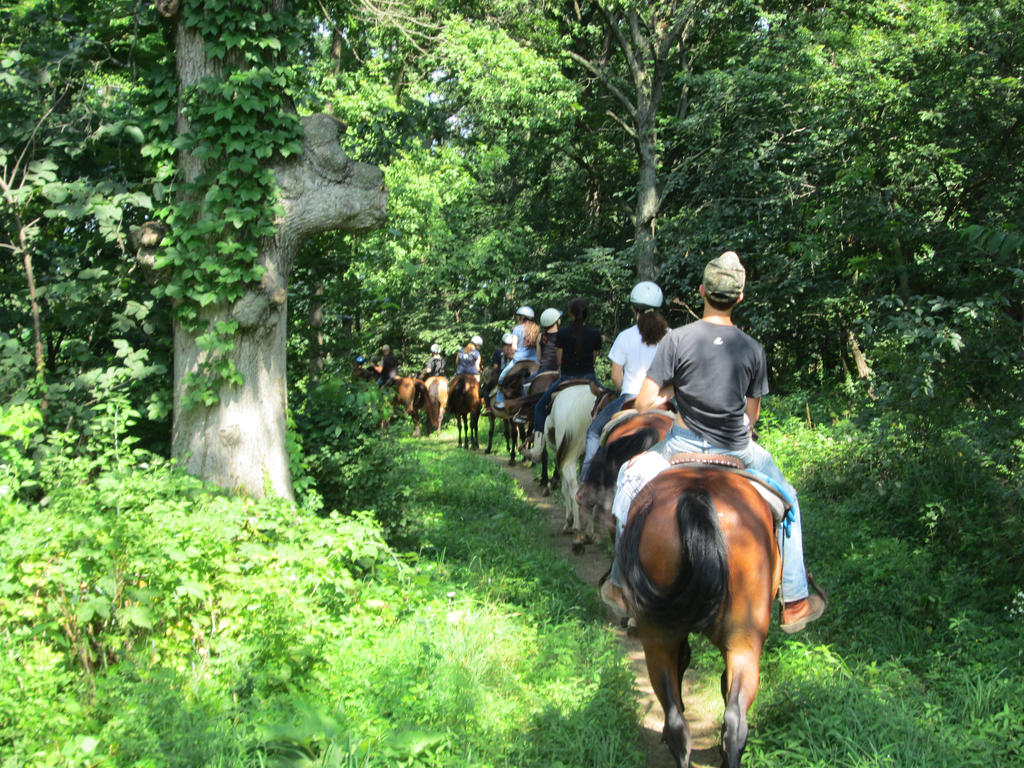 9 Day Trail Ride Day 3 Trail Ride 3 by Scratch1998 on DeviantArt
