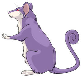 ...pogheys... Rattata