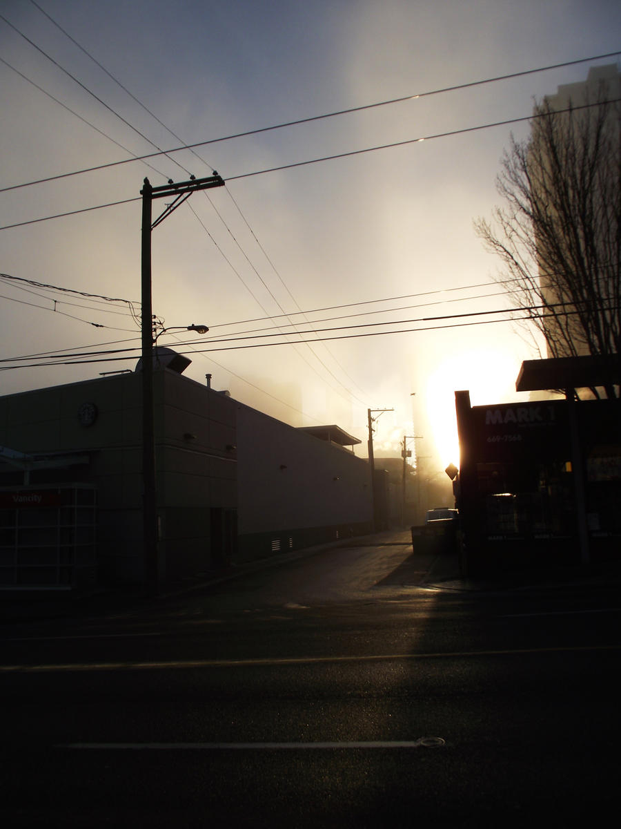 Foggy Halo