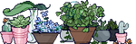 [F2u]  My tiny garden by Ner-U