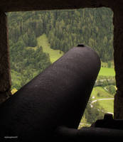 Burg Hohenwerfen-details