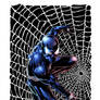 Spider-Man Black Suit!