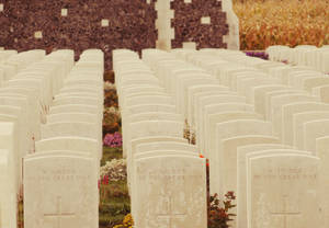 A few hundred soldiers died today