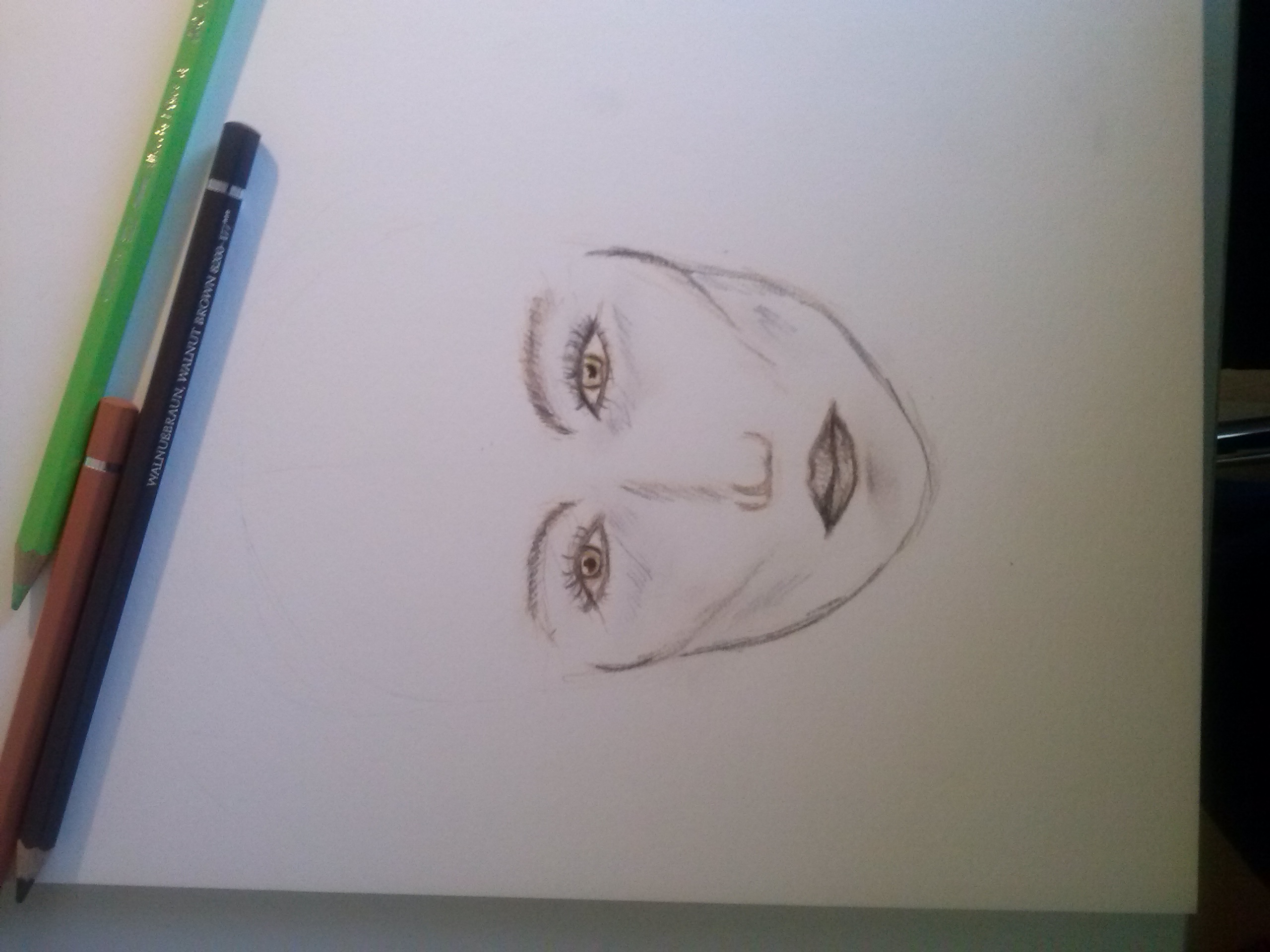 sketch of a face