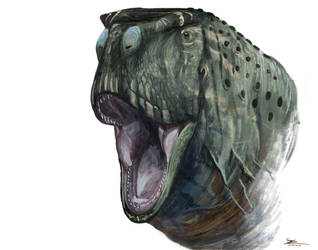 Explore the Best Rugops Art | DeviantArt