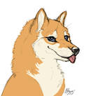 Shiba Inu by CorvidaeArt