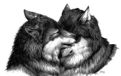 Nuzzling Wolves by CorvidaeArt