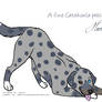 Catahoula