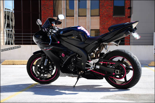 Olivia's Yamaha R1 1