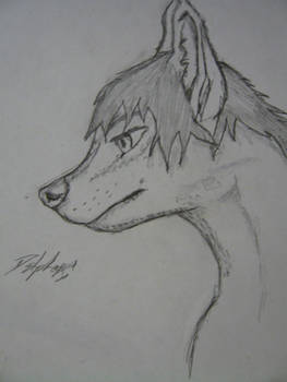 anthro wolf sketch