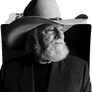 Charlie Daniels Band (1)