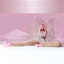 Pink Friday [2010]