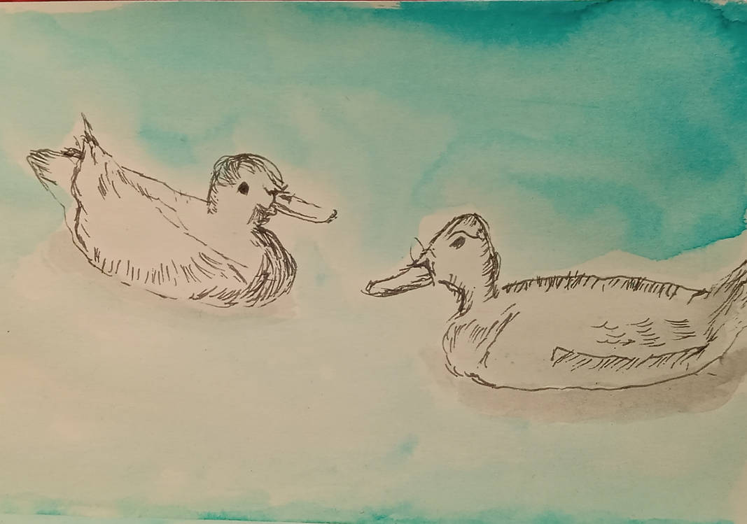 Duck Riding Deviantart Ducks by Yazeh1 on DeviantArt