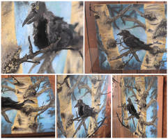 Raven Angles Collage