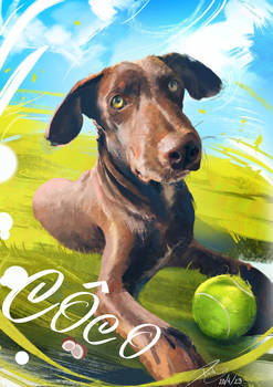 Dog Portrait  Coco